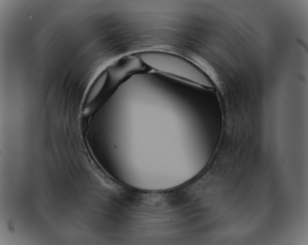 X0000092211332200710121121
