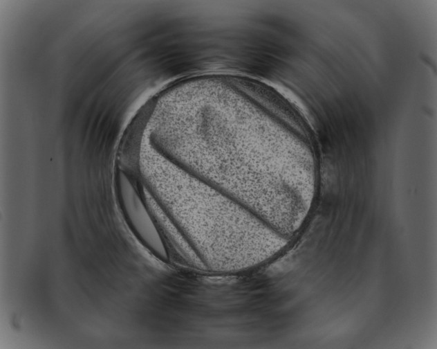 X0000092211333200710121121