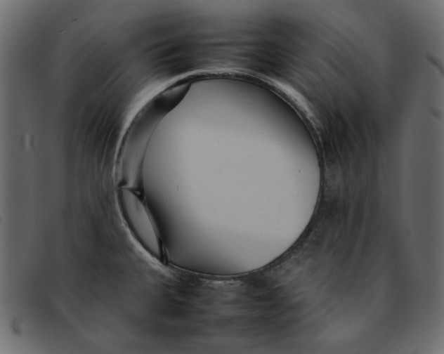 X0000092211335200710121121