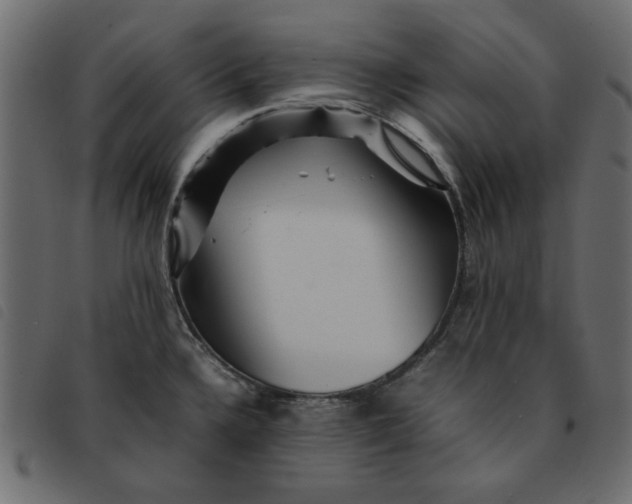 X0000092211336200710121121