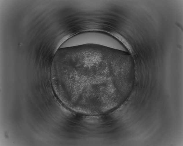 X0000092211337200710121121