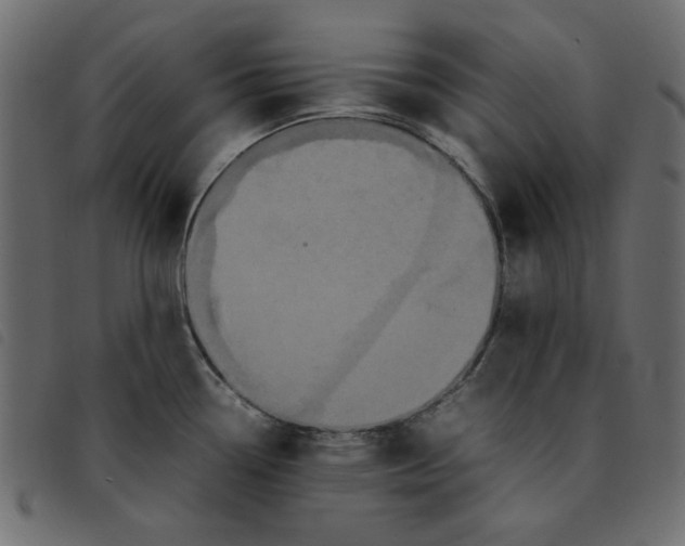 X0000092211338200710121121