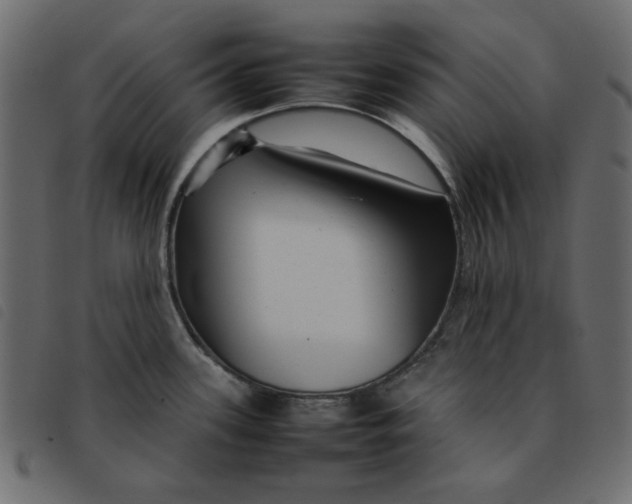 X0000092211339200710121121