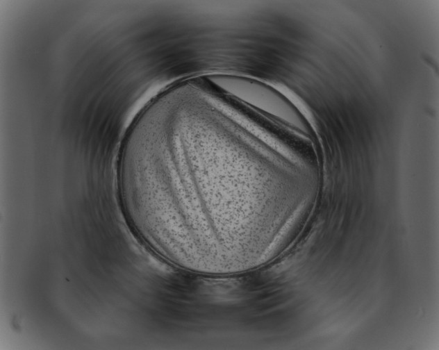 X0000092211341200710121121
