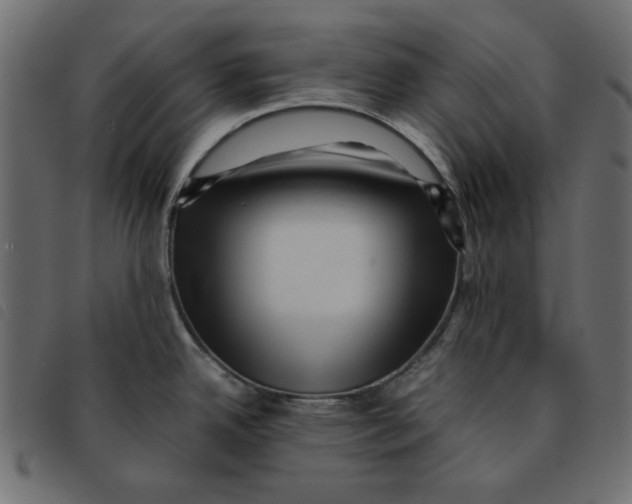 X0000092211342200710121121
