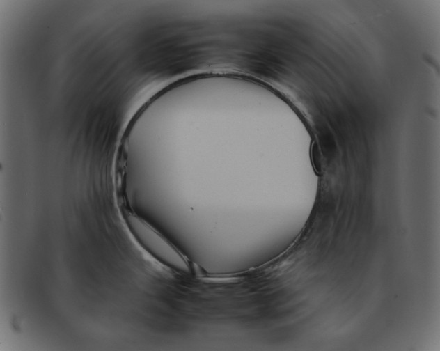 X0000092211343200710121121