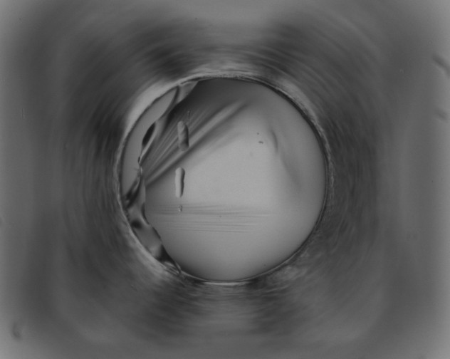 X0000092211344200710121121