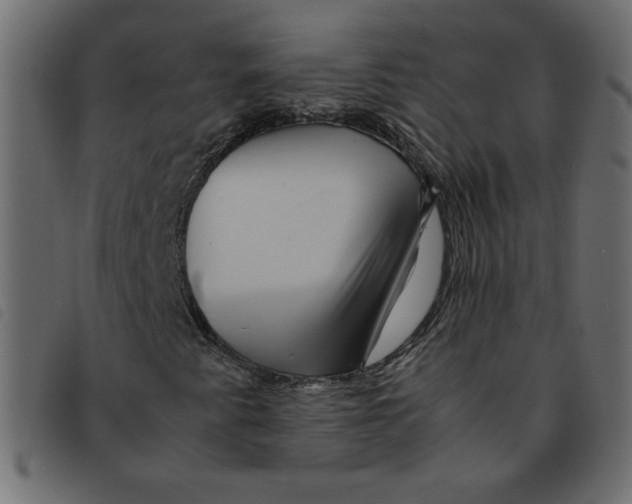 X0000092211345200710121120