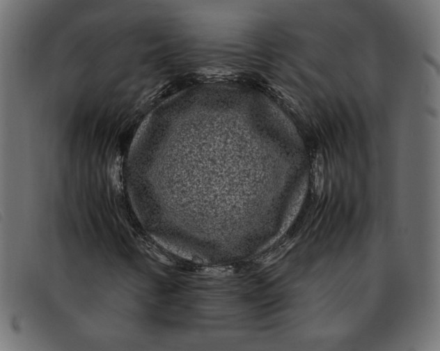 X0000092211346200710121120