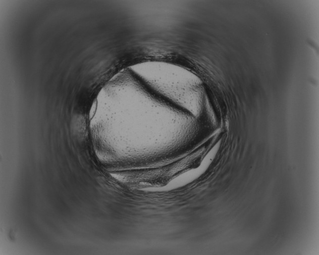 X0000092211347200710121120