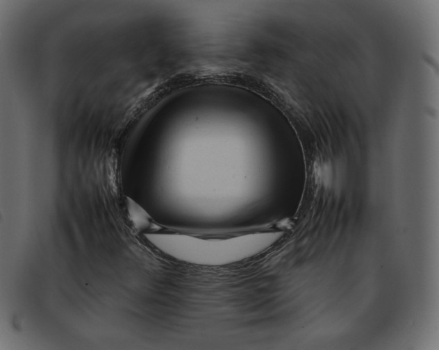 X0000092211348200710121120