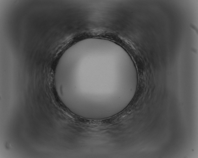 X0000092211349200710121120
