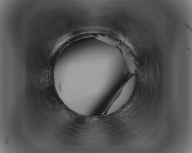 X0000092211352200710121120