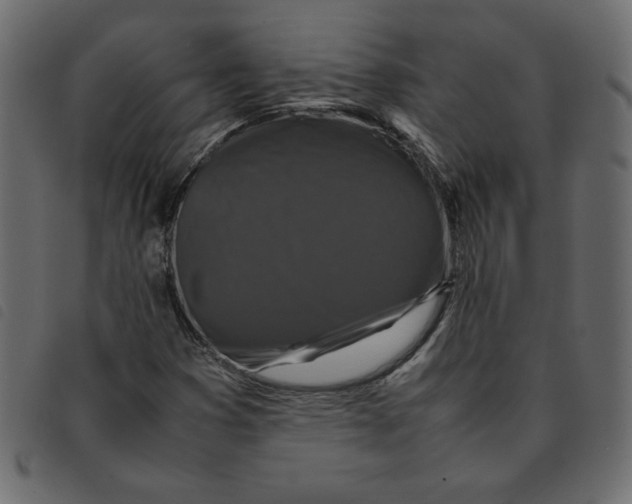 X0000092211353200710121120