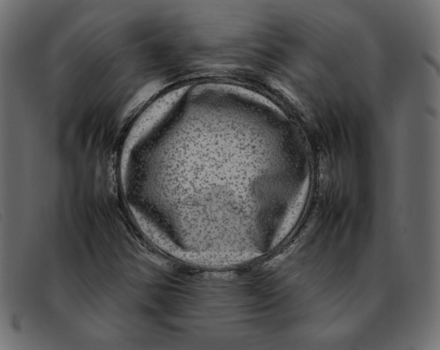 X0000092211354200710121120