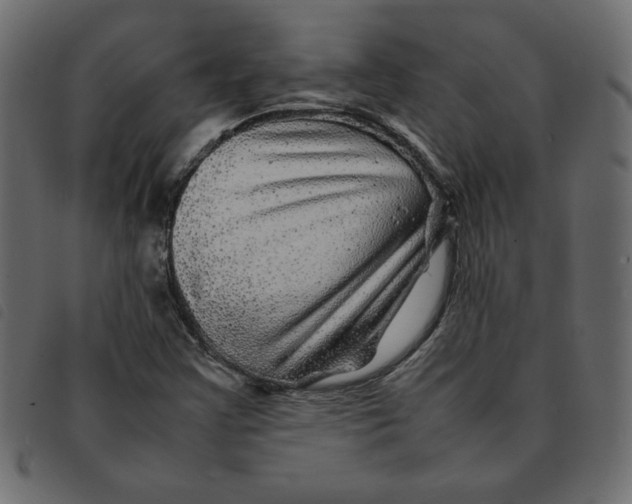 X0000092211355200710121120