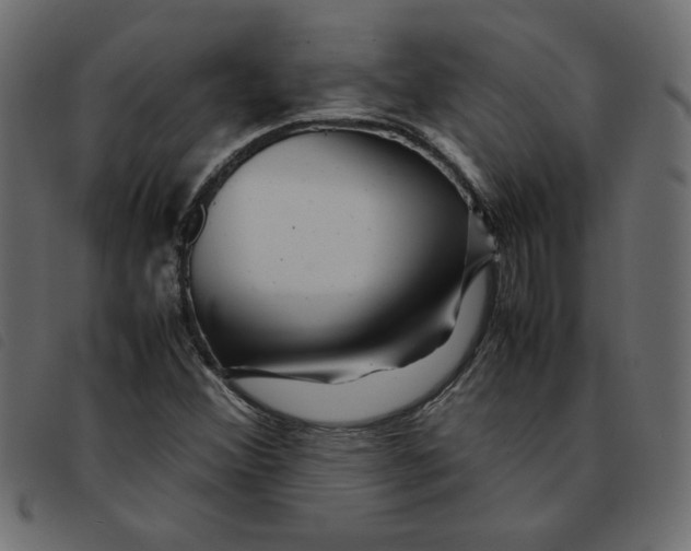 X0000092211356200710121120