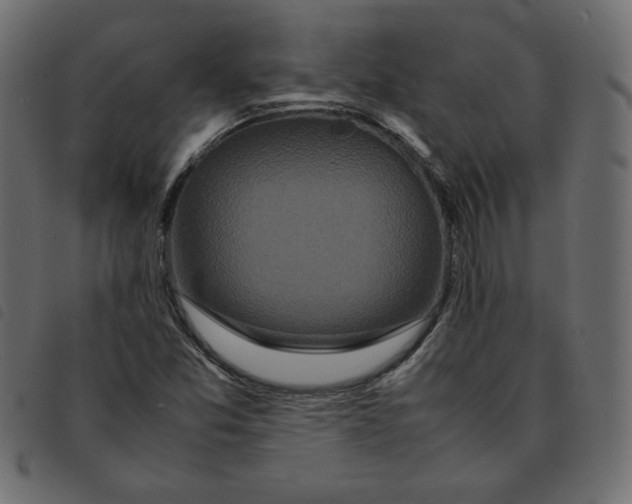 X0000092211357200710121120