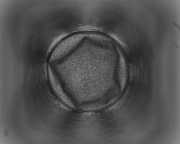 X0000092211358200710121120