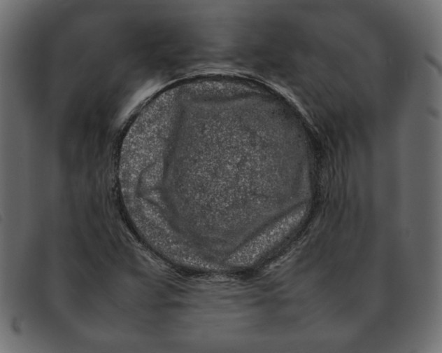 X0000092211359200710121120