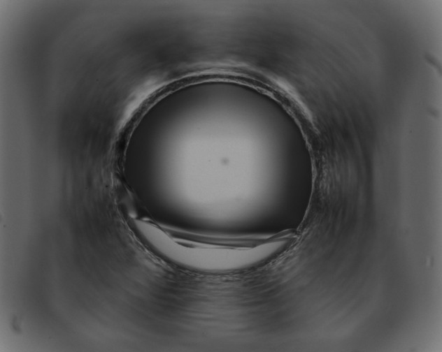 X0000092211360200710121120
