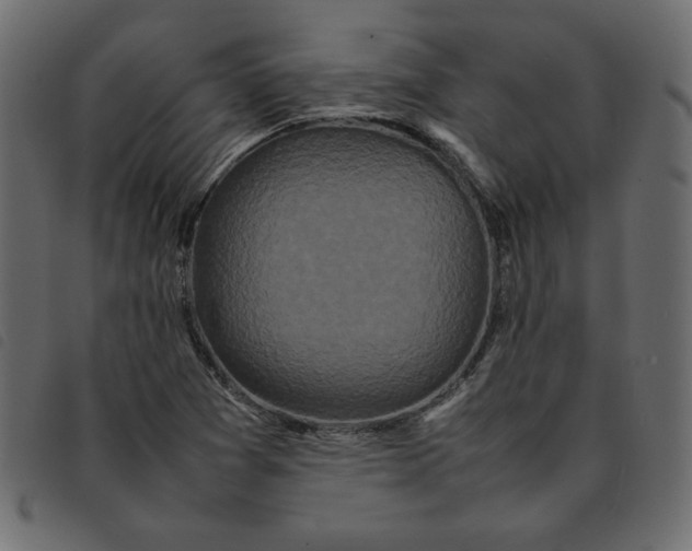 X0000092211361200710121120