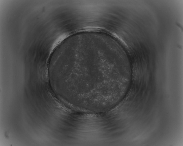 X0000092211362200710121120