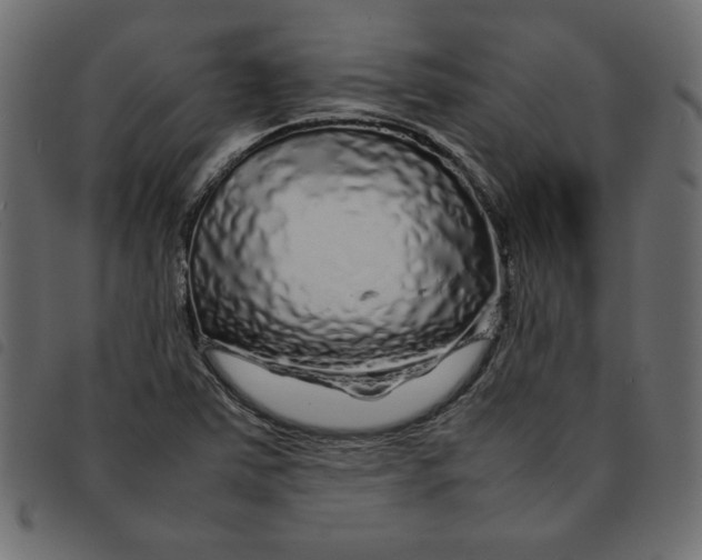 X0000092211363200710121120