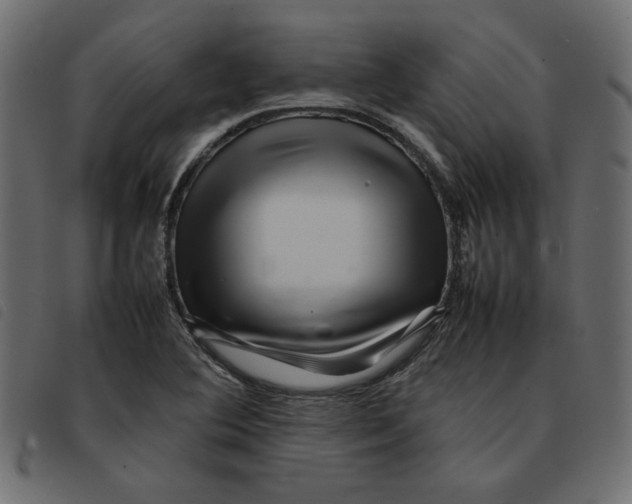 X0000092211364200710121120