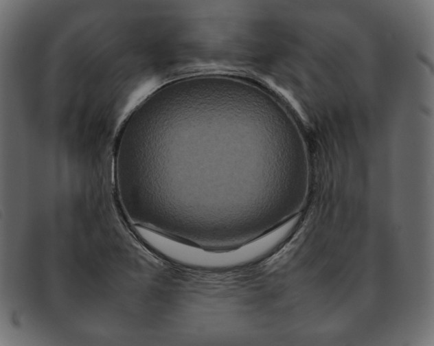 X0000092211365200710121120