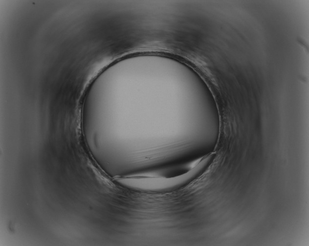 X0000092211366200710121120