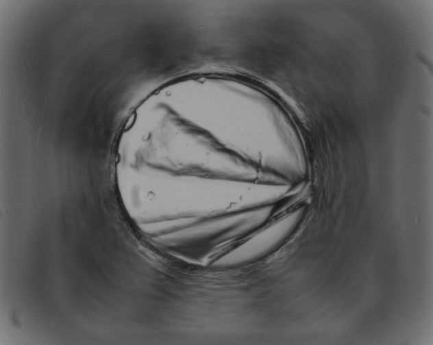 X0000092211367200710121120