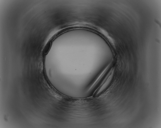 X0000092211368200710121120