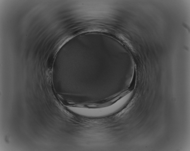 X0000092211369200710121120