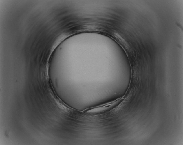 X0000092211370200710121120