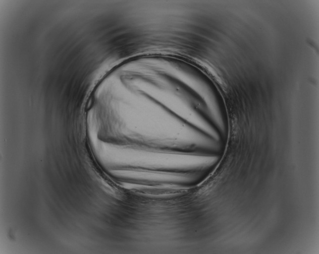 X0000092211371200710121120