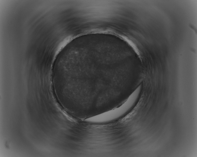 X0000092211373200710121120