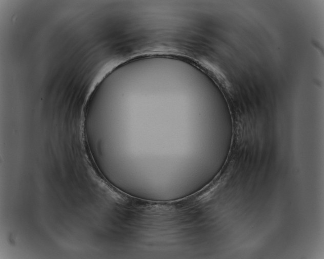 X0000092211374200710121120