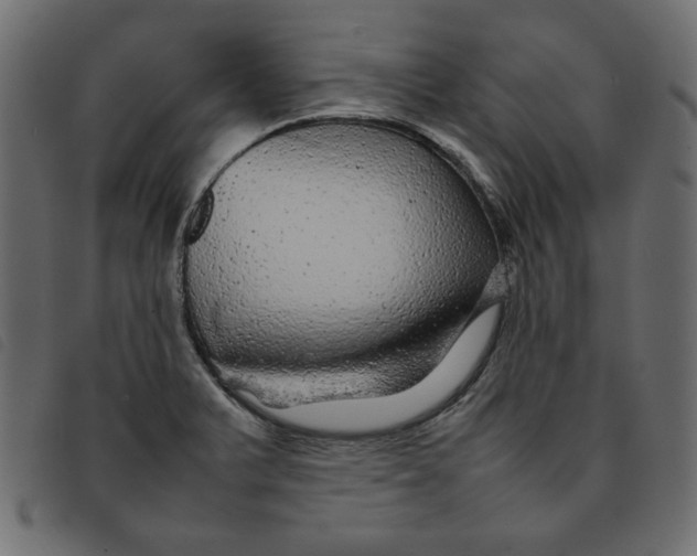 X0000092211375200710121120