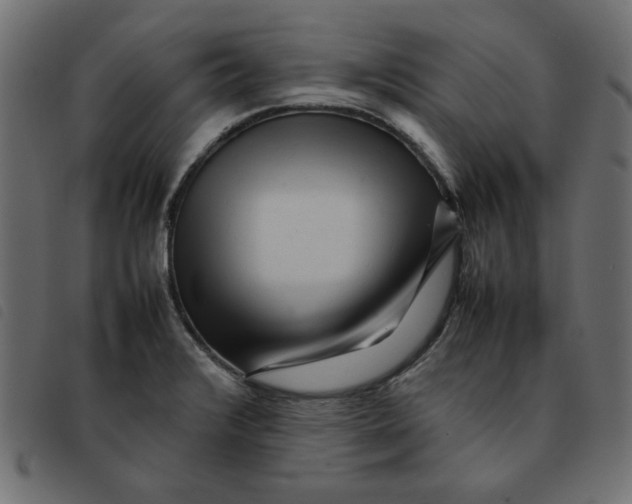 X0000092211376200710121120