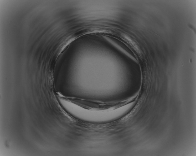 X0000092211377200710121120