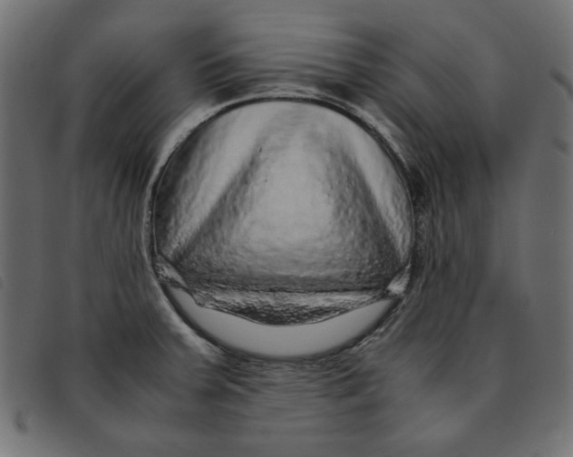 X0000092211379200710121120
