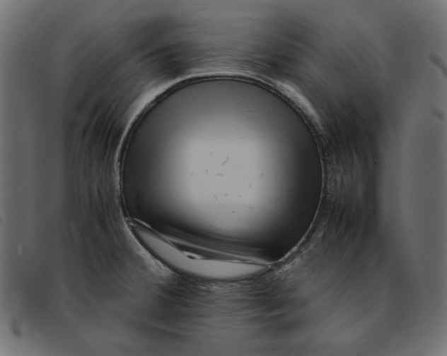 X0000092211380200710121120
