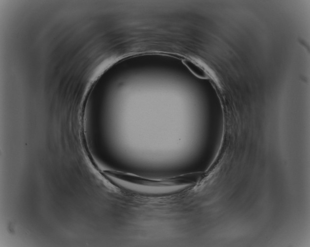 X0000092211381200710121120