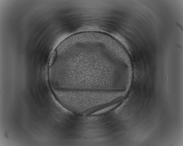 X0000092211382200710121120