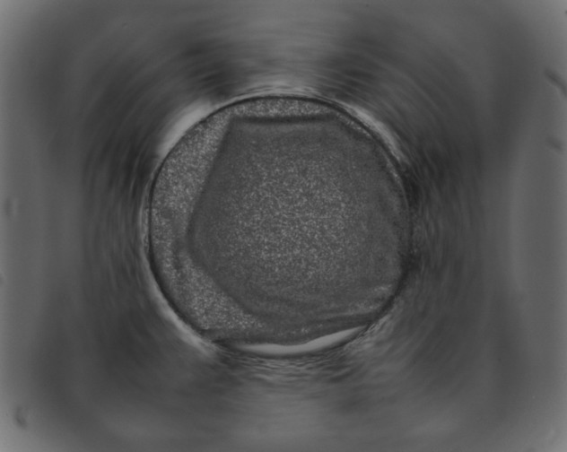 X0000092211383200710121120