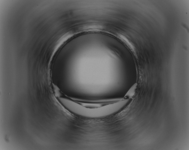 X0000092211384200710121120