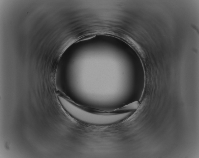 X0000092211385200710121120