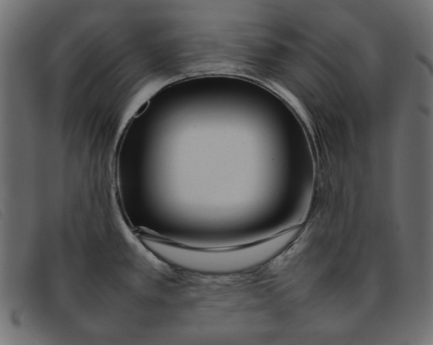 X0000092211389200710121120