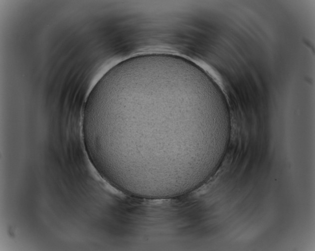 X0000092211390200710121120